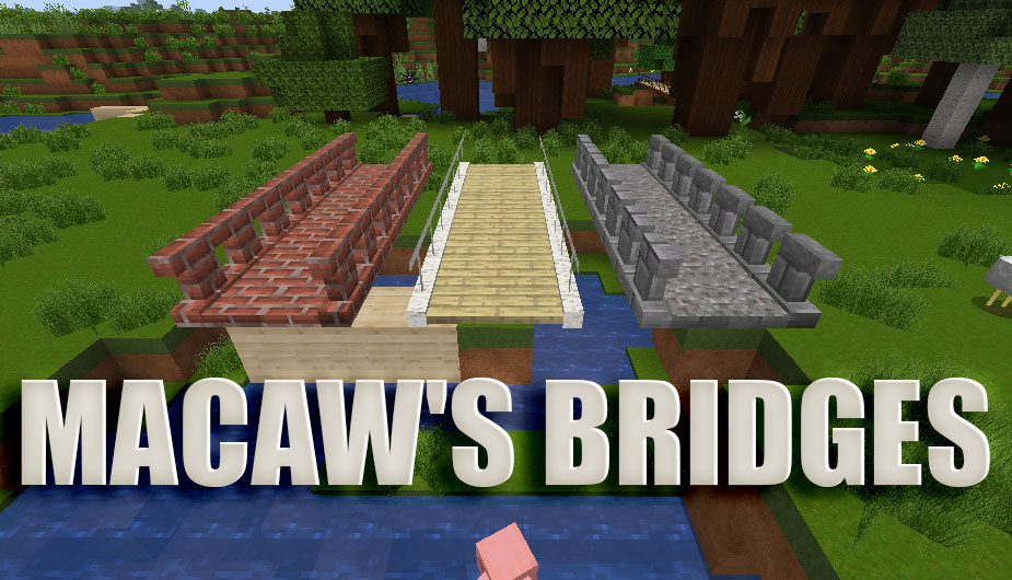 Macaw's Bridges