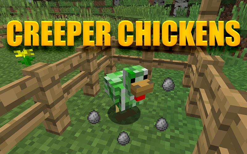Creeper Chickens