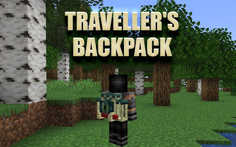 Traveller's Backpack