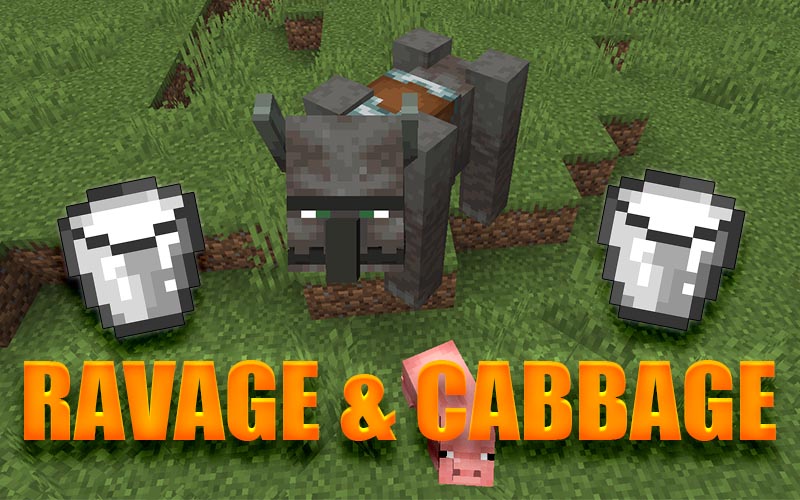Ravage & Cabbage