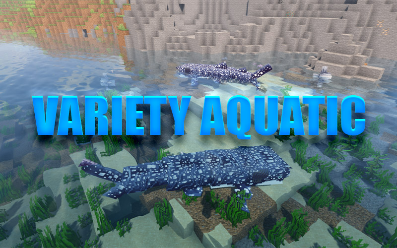Variety Aquatic